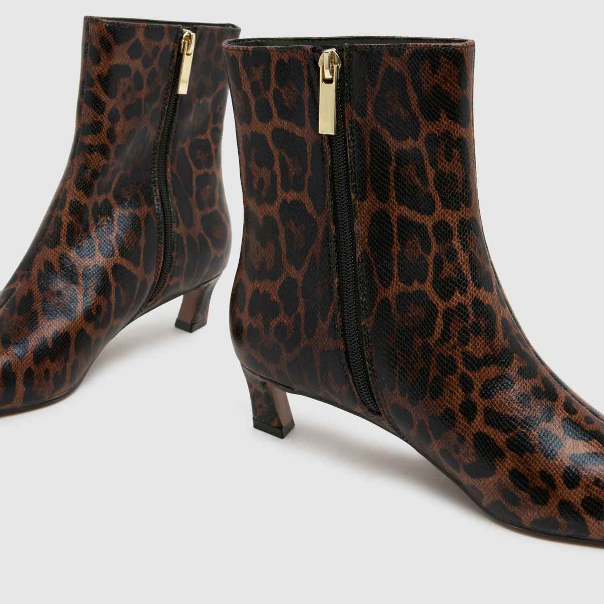 schuh  Bexley Kitten Heel in Brown Multi schuh  Bexley Kitten Heel in Brown Multi