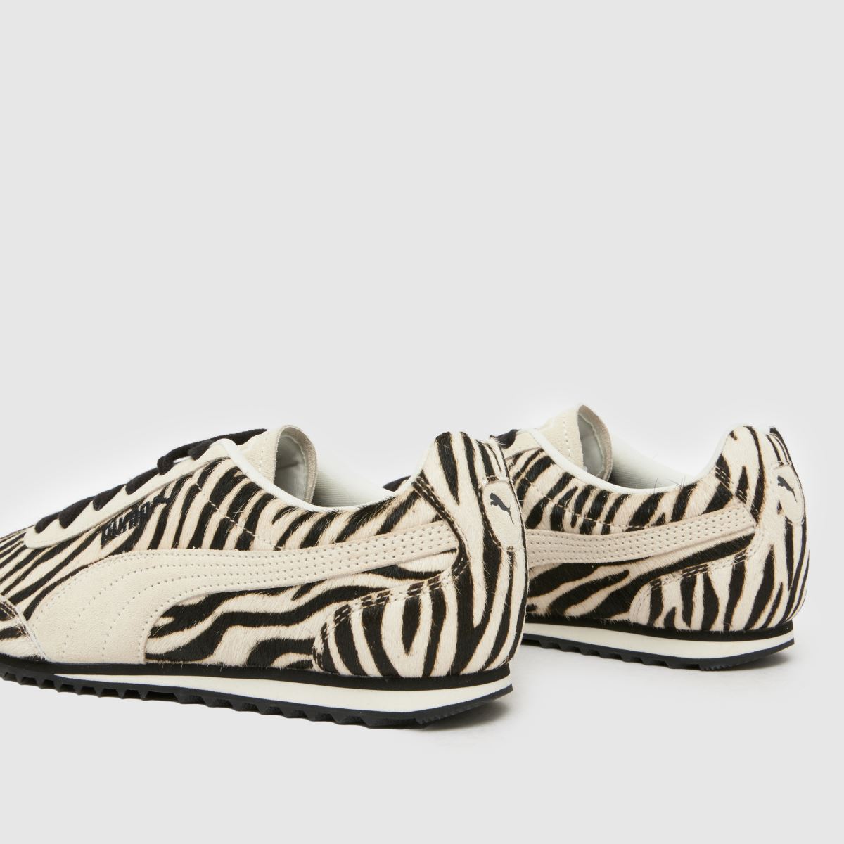 PUMA  Arizona in Black & White PUMA  Arizona in Black & White