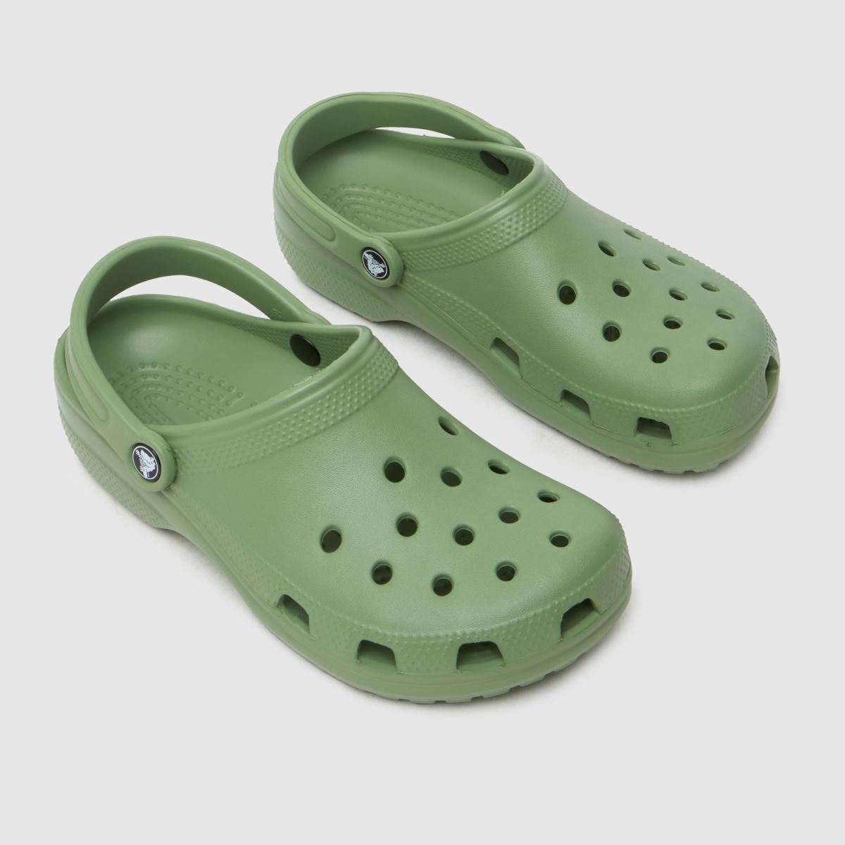 Crocs  Classic Clog in Green Crocs  Classic Clog in Green