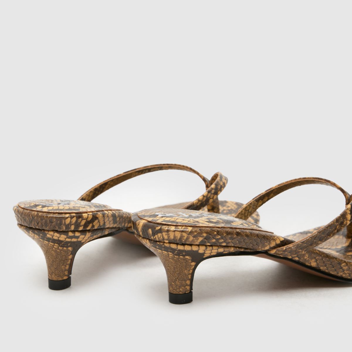 schuh  Sunnie Toe Post Kitten in Multi schuh  Sunnie Toe Post Kitten in Multi