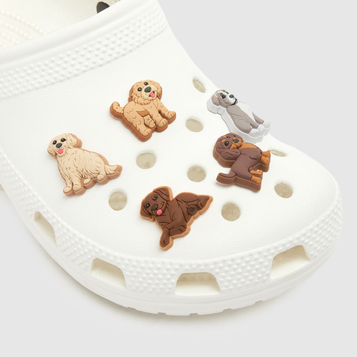 Crocs  Jibbitz Doggie Doodle 5 Pack in Beige Multi Crocs  Jibbitz Doggie Doodle 5 Pack in Beige Multi