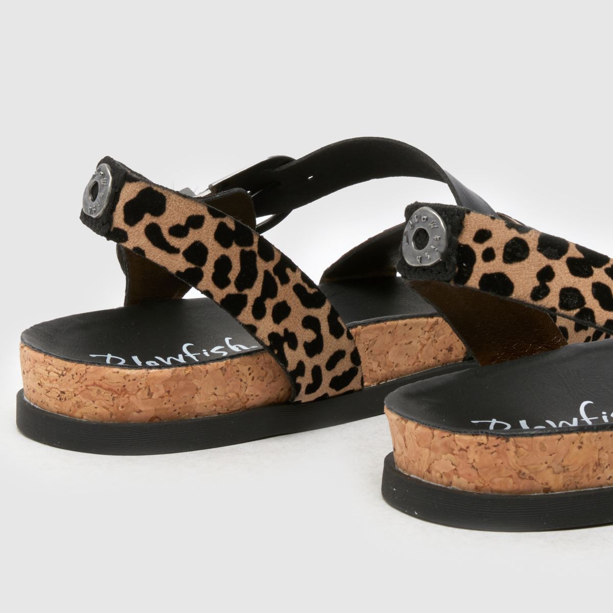 Blowfish Malibu  Lance in Print Blowfish Malibu  Lance in Print