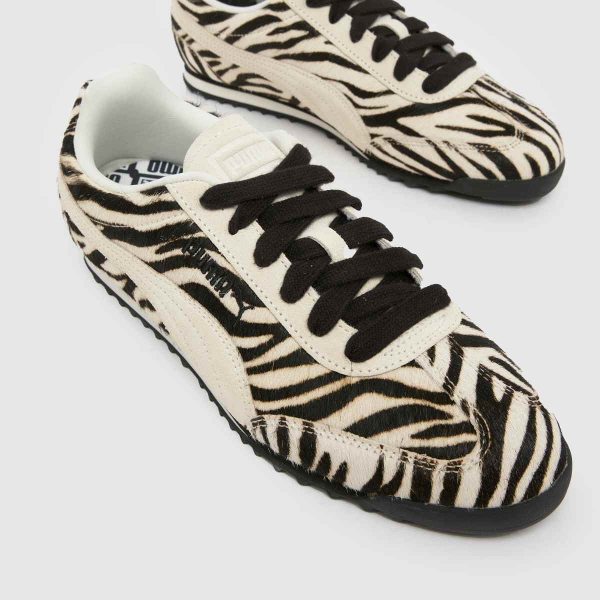 PUMA  Arizona in Black & White PUMA  Arizona in Black & White