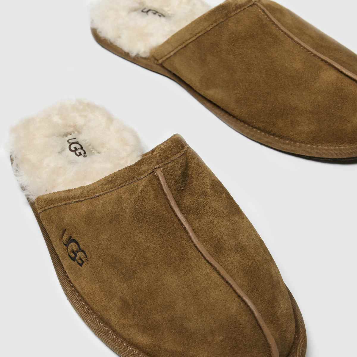 ugg  Scuff in Chestnut ugg  Scuff in Chestnut