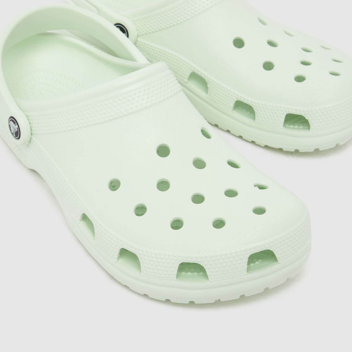 Crocs  Classic Clog in Light Green Crocs  Classic Clog in Light Green