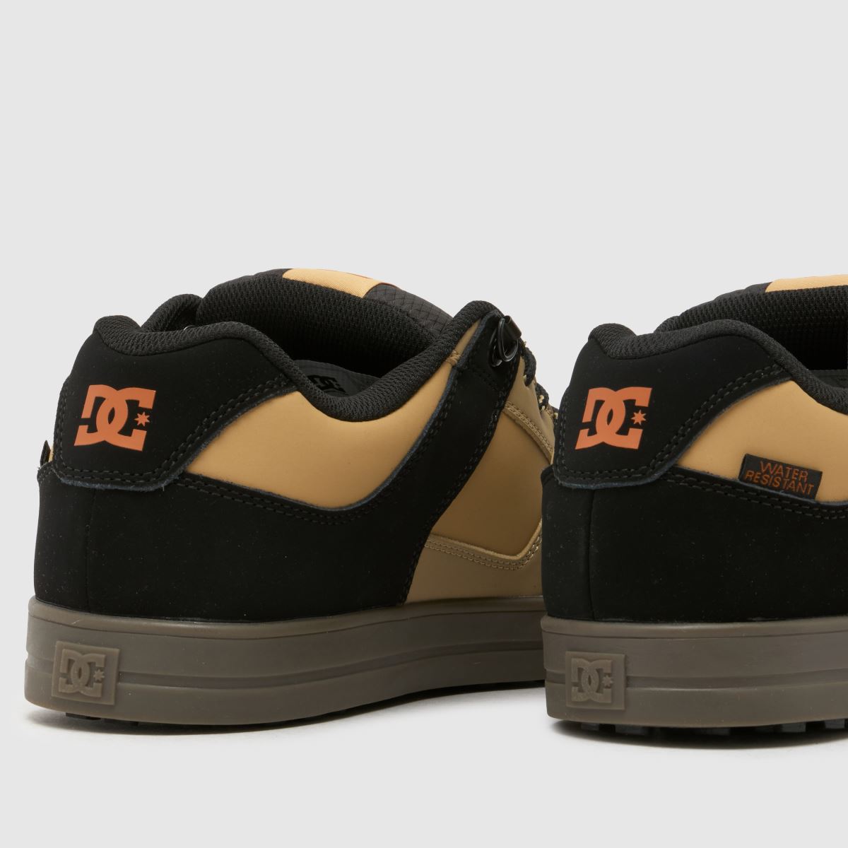 DC  Pure in Black Multi DC  Pure in Black Multi