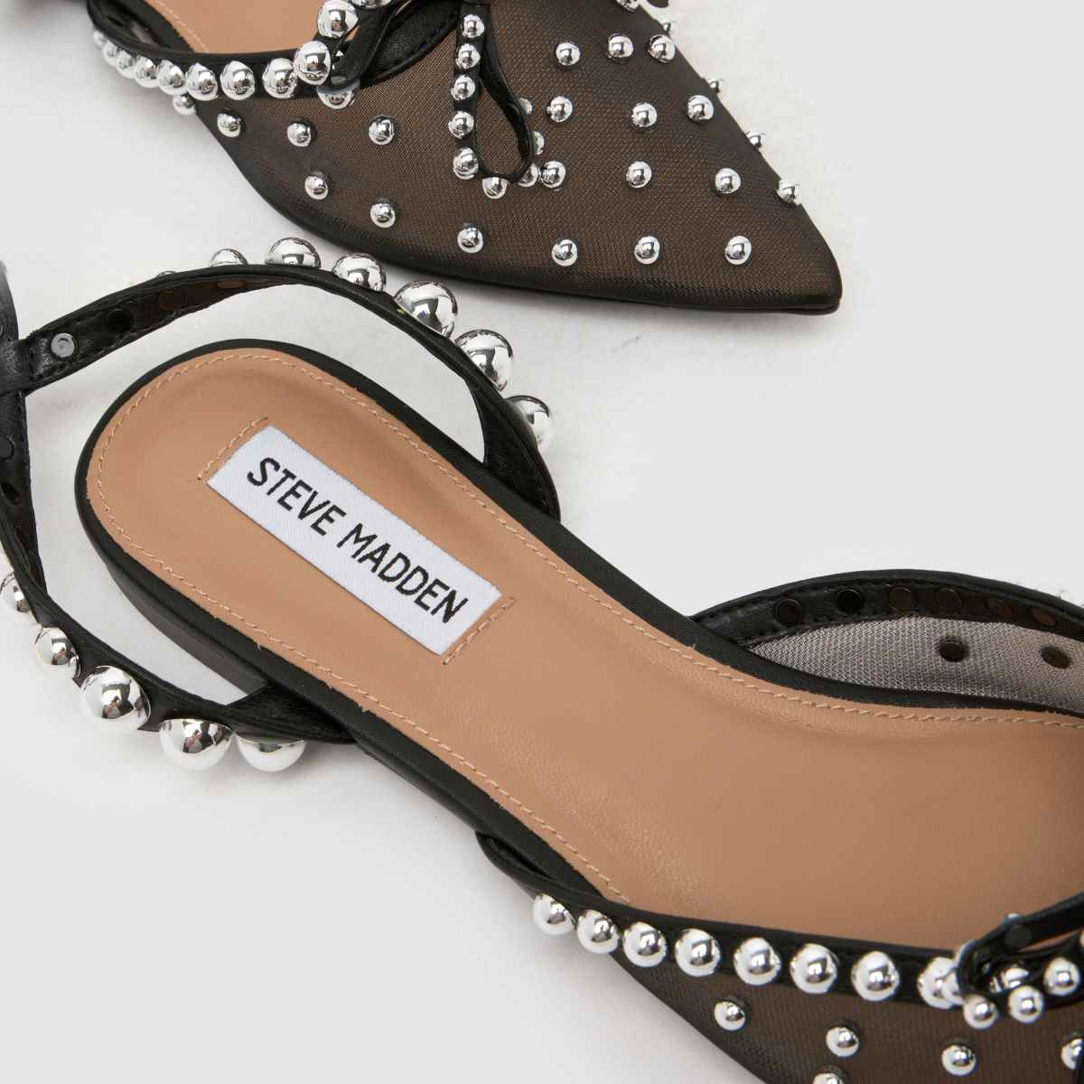 Steve Madden  Lynne Jewel Pointed in Black Steve Madden  Lynne Jewel Pointed in Black