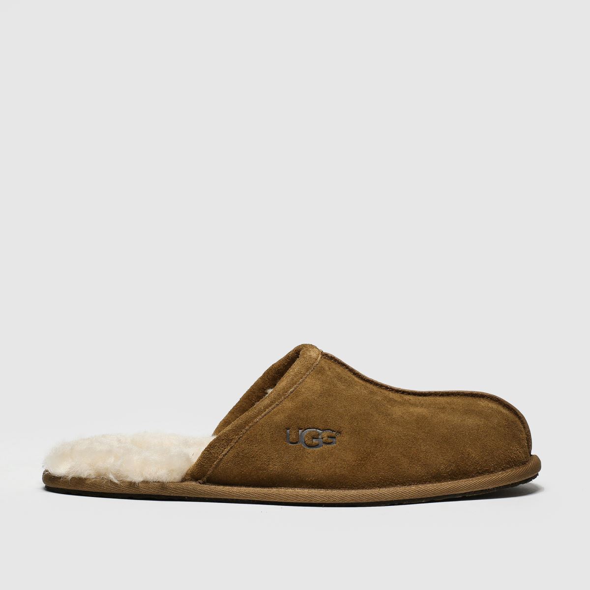 ugg  Scuff in Chestnut ugg  Scuff in Chestnut