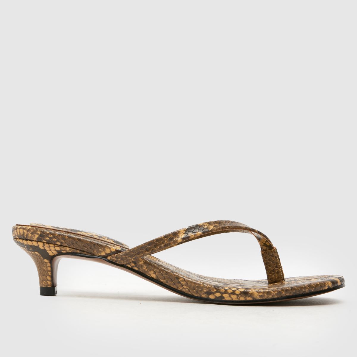 schuh  Sunnie Toe Post Kitten in Multi schuh  Sunnie Toe Post Kitten in Multi