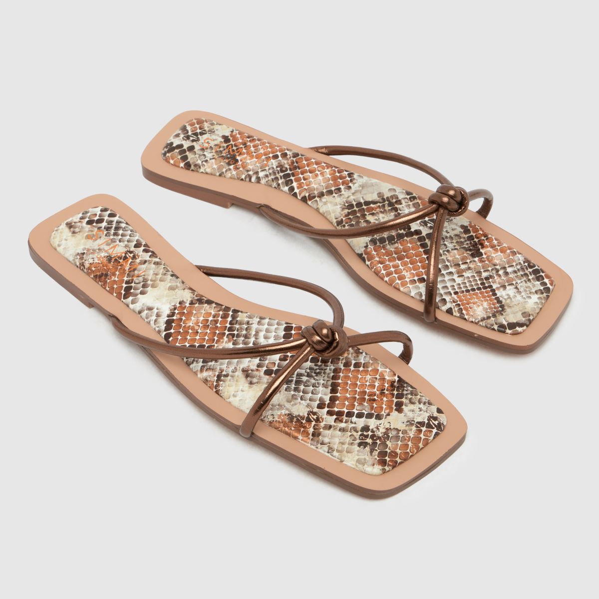 SIMMI  Cola Snake in Bronze SIMMI  Cola Snake in Bronze