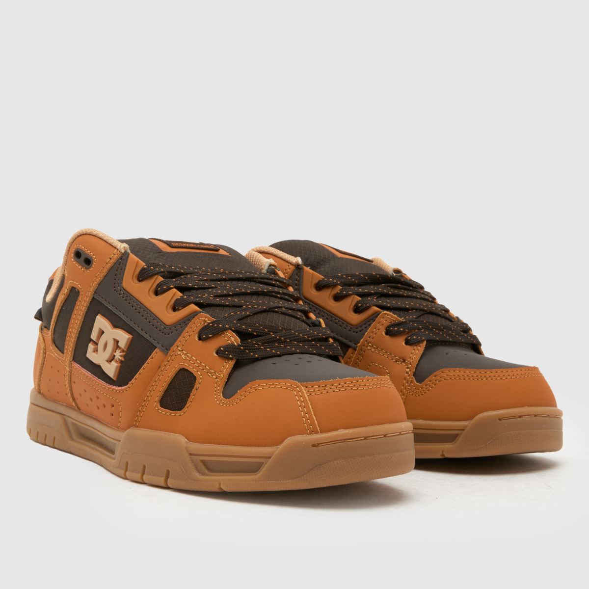 DC  Stag in Tan DC  Stag in Tan