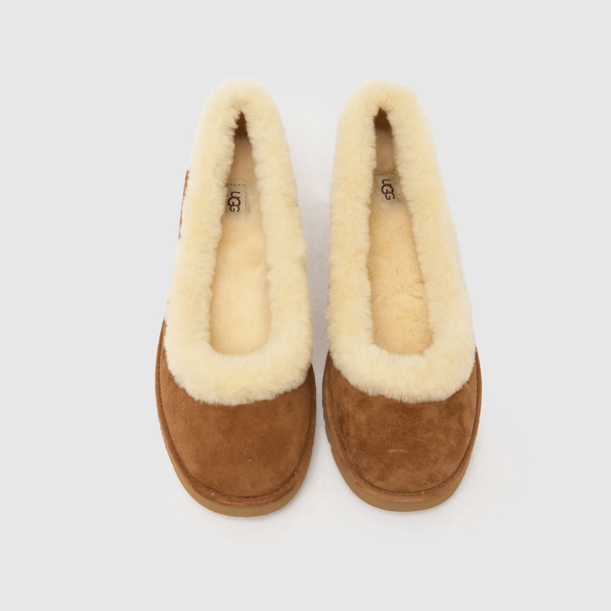 UGG  Zora Ballet in Chestnut UGG  Zora Ballet in Chestnut