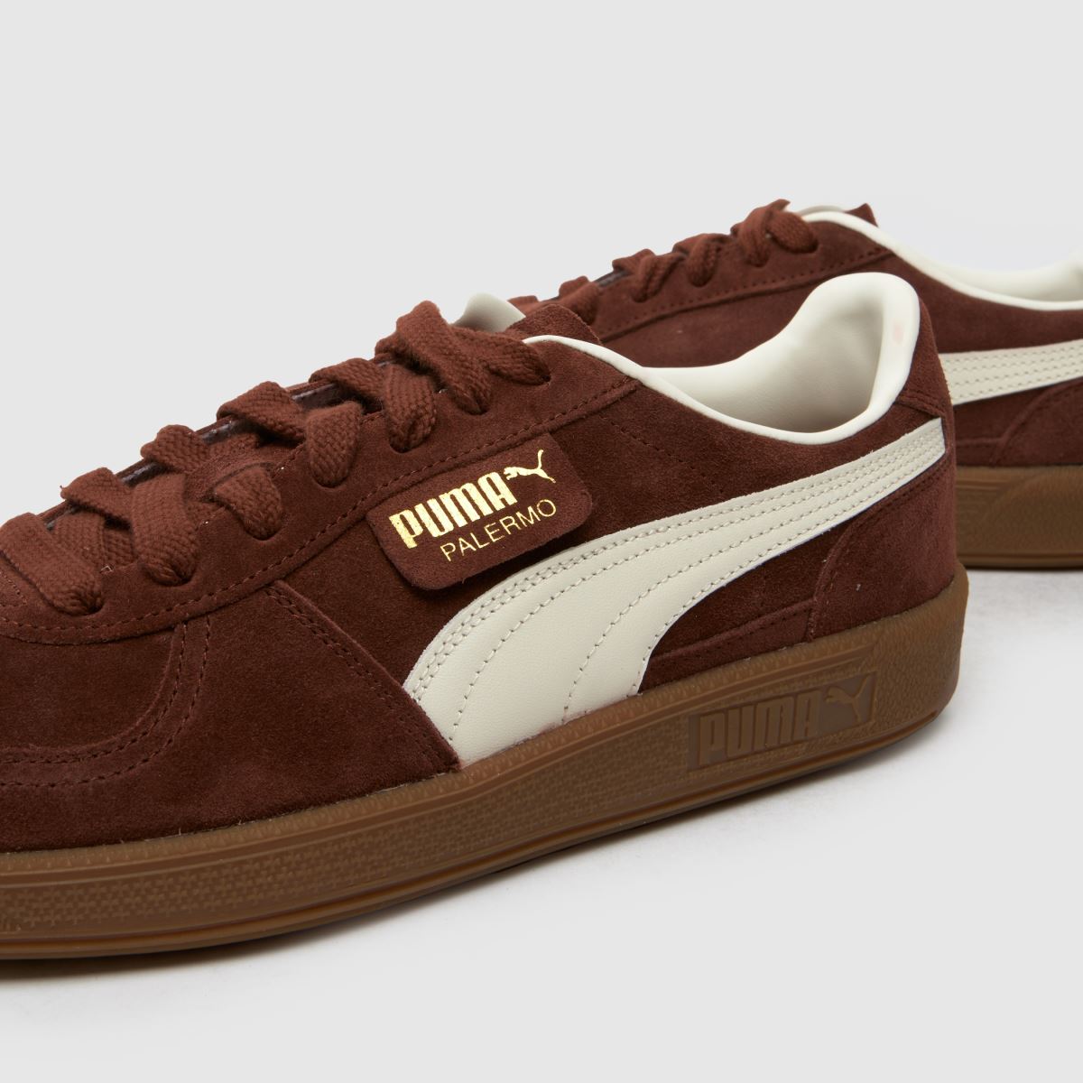 PUMA  Palermo in Brown & White PUMA  Palermo in Brown & White