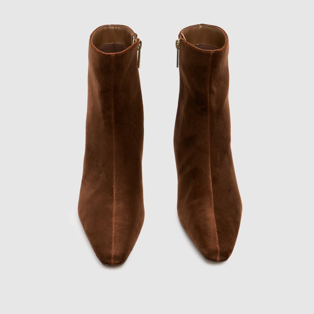 schuh  Bexley Kitten Heel in Tan schuh  Bexley Kitten Heel in Tan