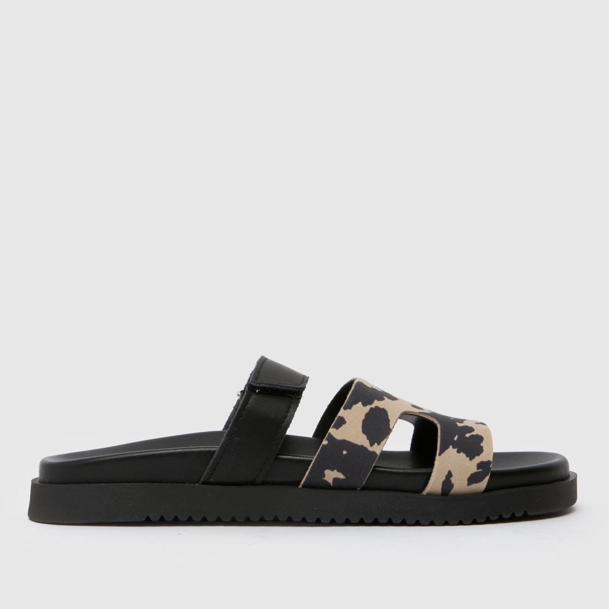 Steve Madden  Missile in Print Steve Madden  Missile in Print