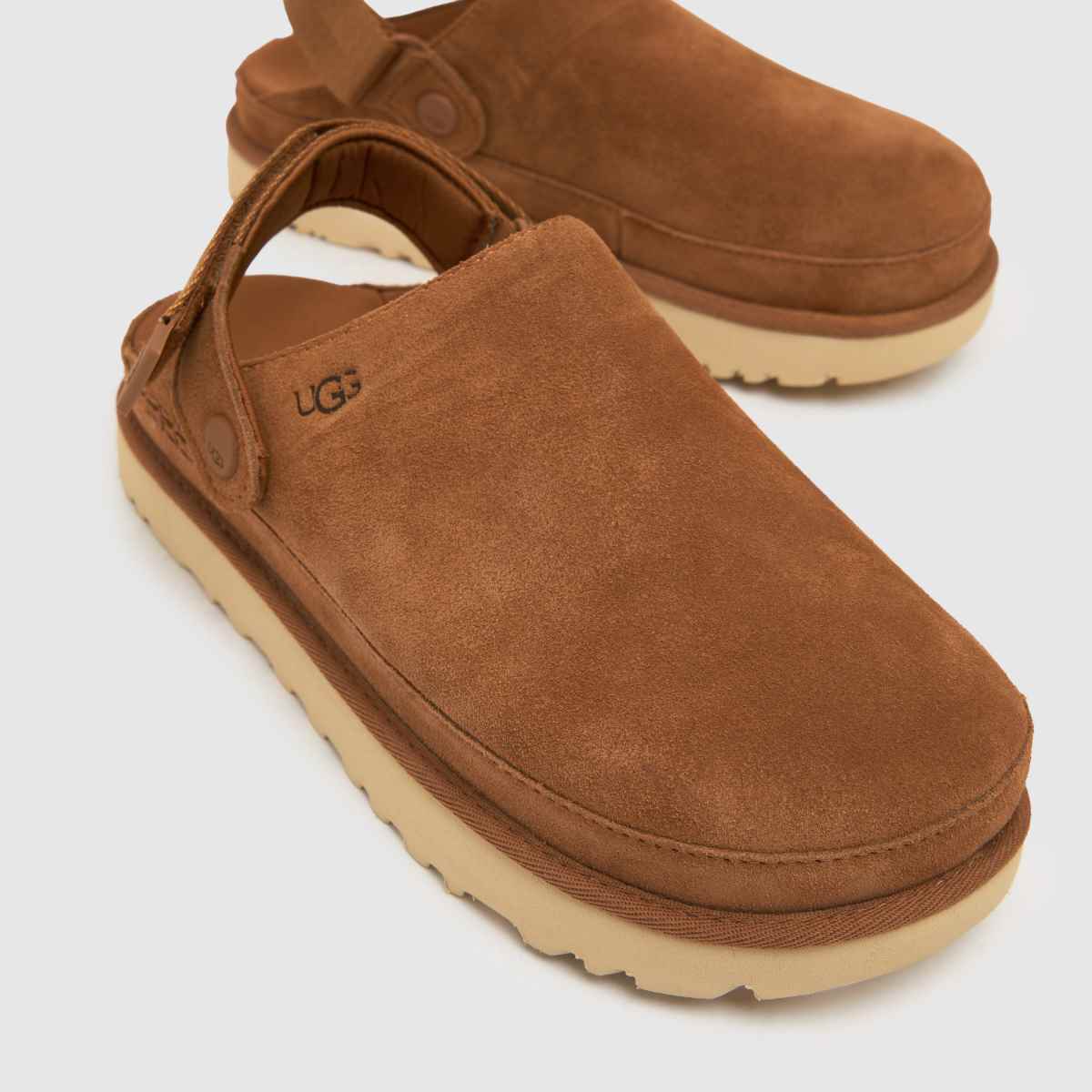 UGG  Goldenstar Clog in Chestnut UGG  Goldenstar Clog in Chestnut