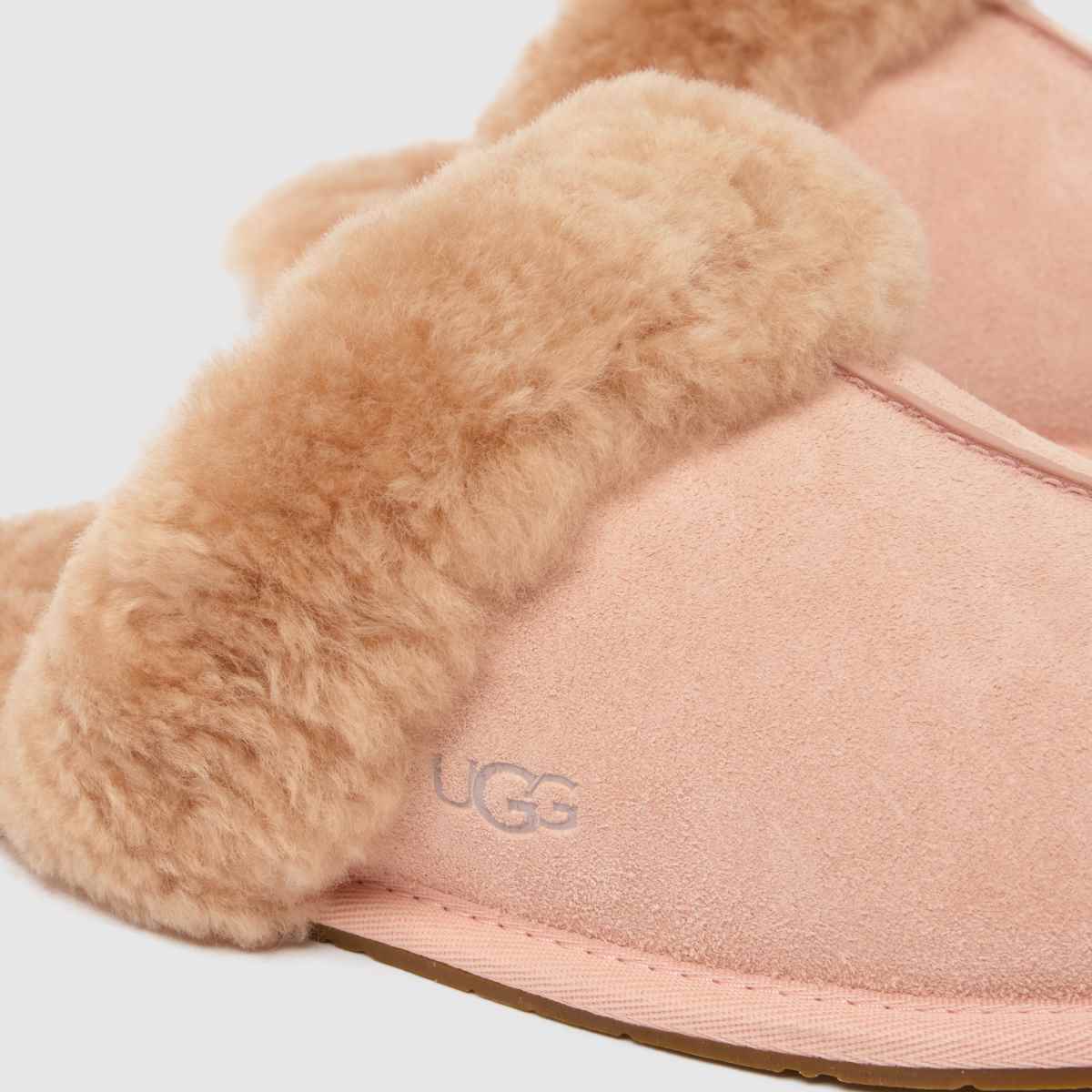 UGG  Scuffette II in Beige Blush UGG  Scuffette II in Beige Blush