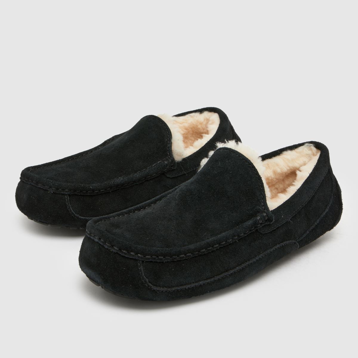 UGG  Ascot in Black UGG  Ascot in Black