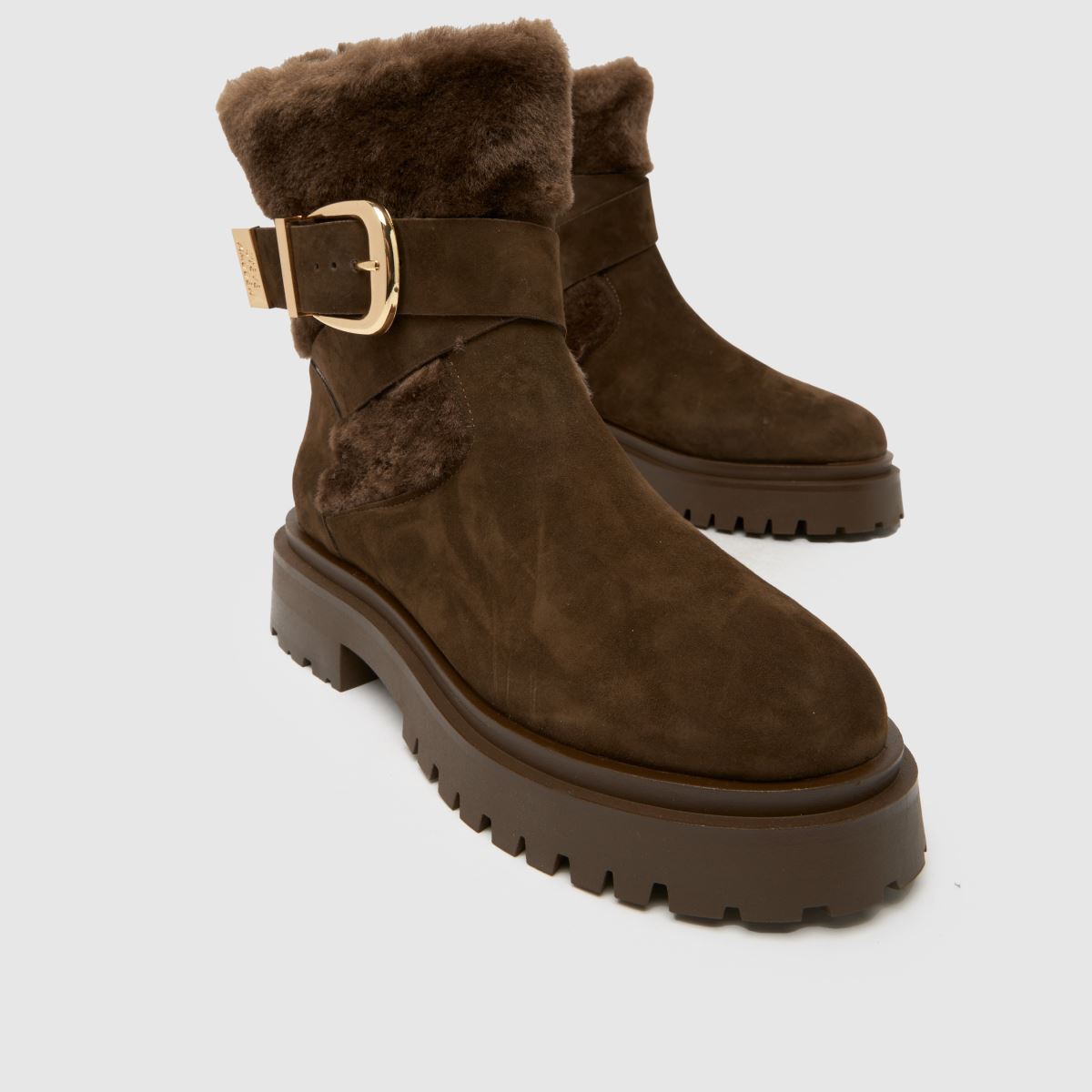 Steve Madden  Lodge Cozy in Brown Steve Madden  Lodge Cozy in Brown