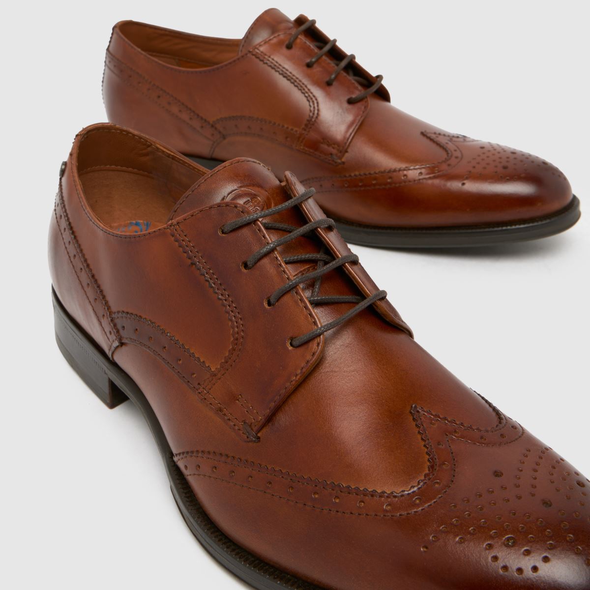 Base London  Bell Brogue in Tan Base London  Bell Brogue in Tan