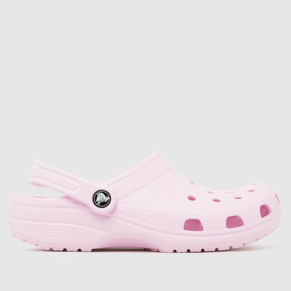 Crocs  Classic Clog in Pink Crocs  Classic Clog in Pink