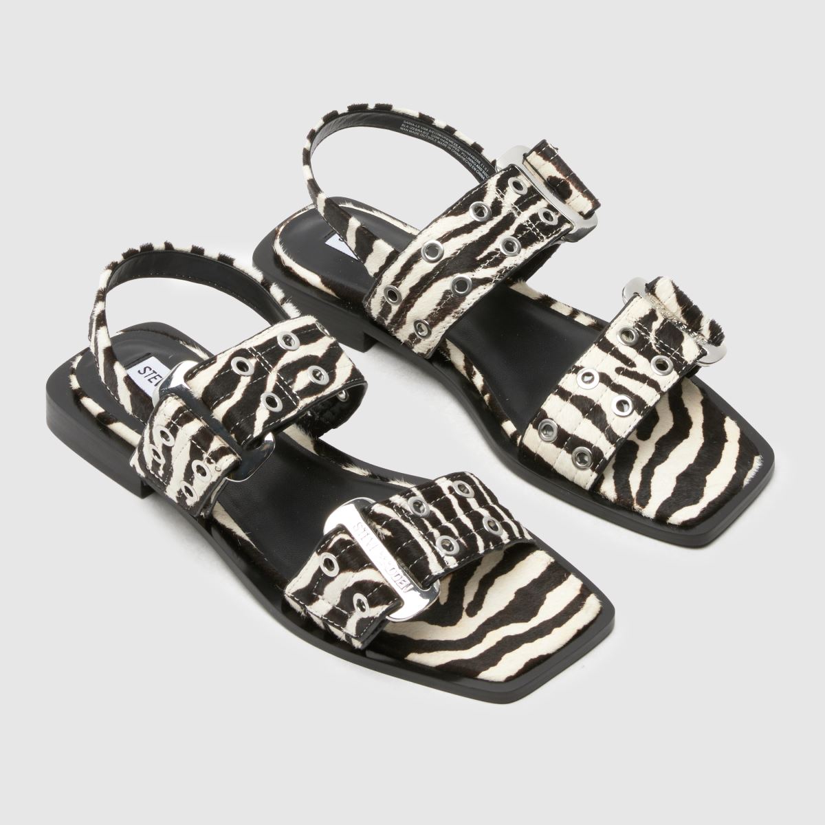 Steve Madden  Grand Saria-Le Zebra in Print Steve Madden  Grand Saria-Le Zebra in Print