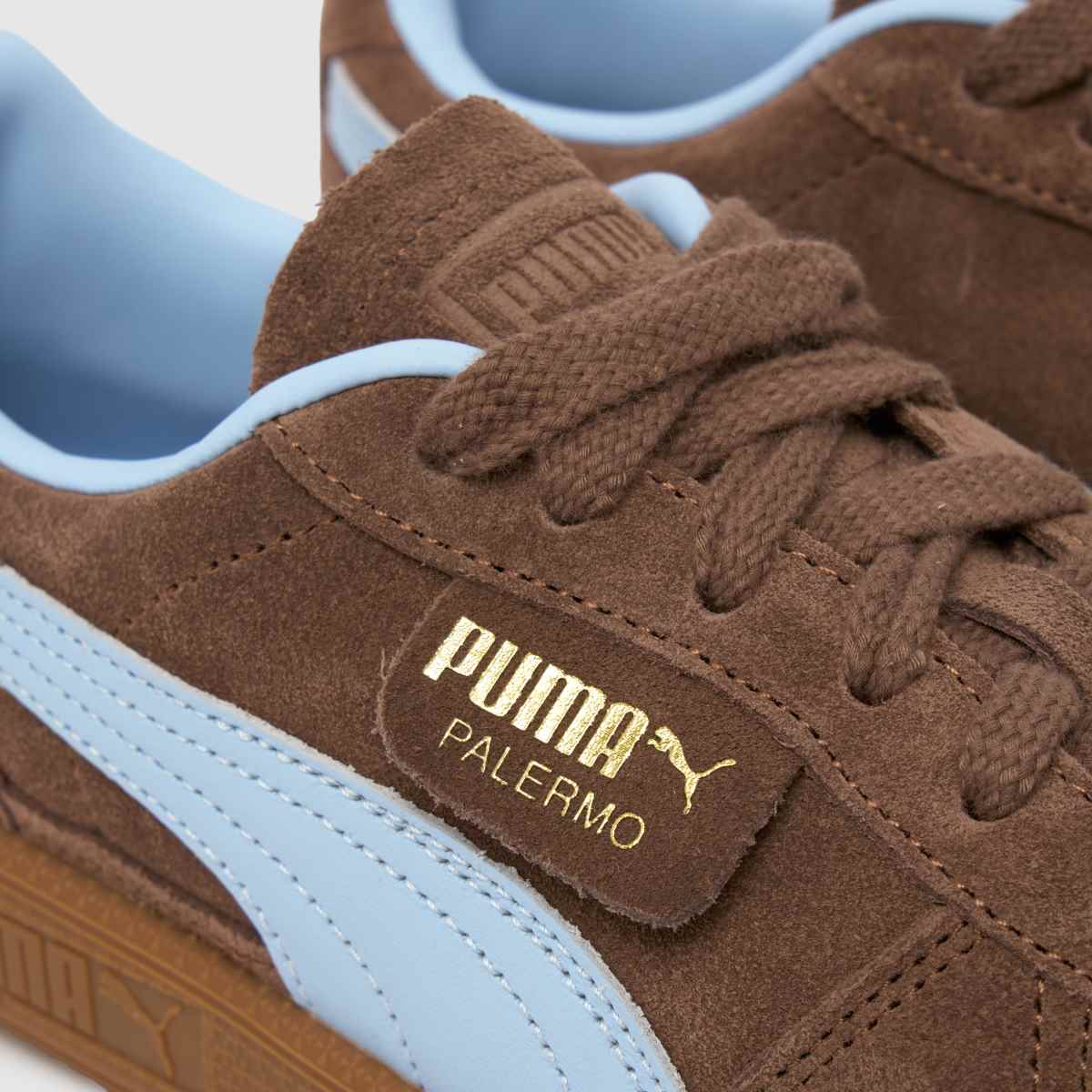 PUMA  Palermo in Brown Multi PUMA  Palermo in Brown Multi