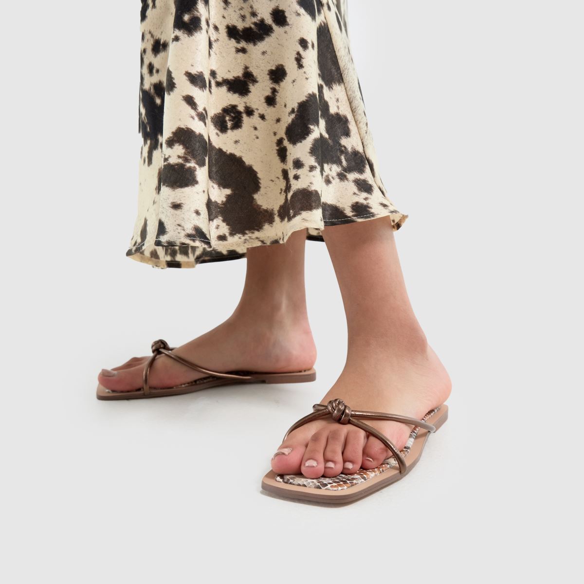 SIMMI  Cola Snake in Bronze SIMMI  Cola Snake in Bronze