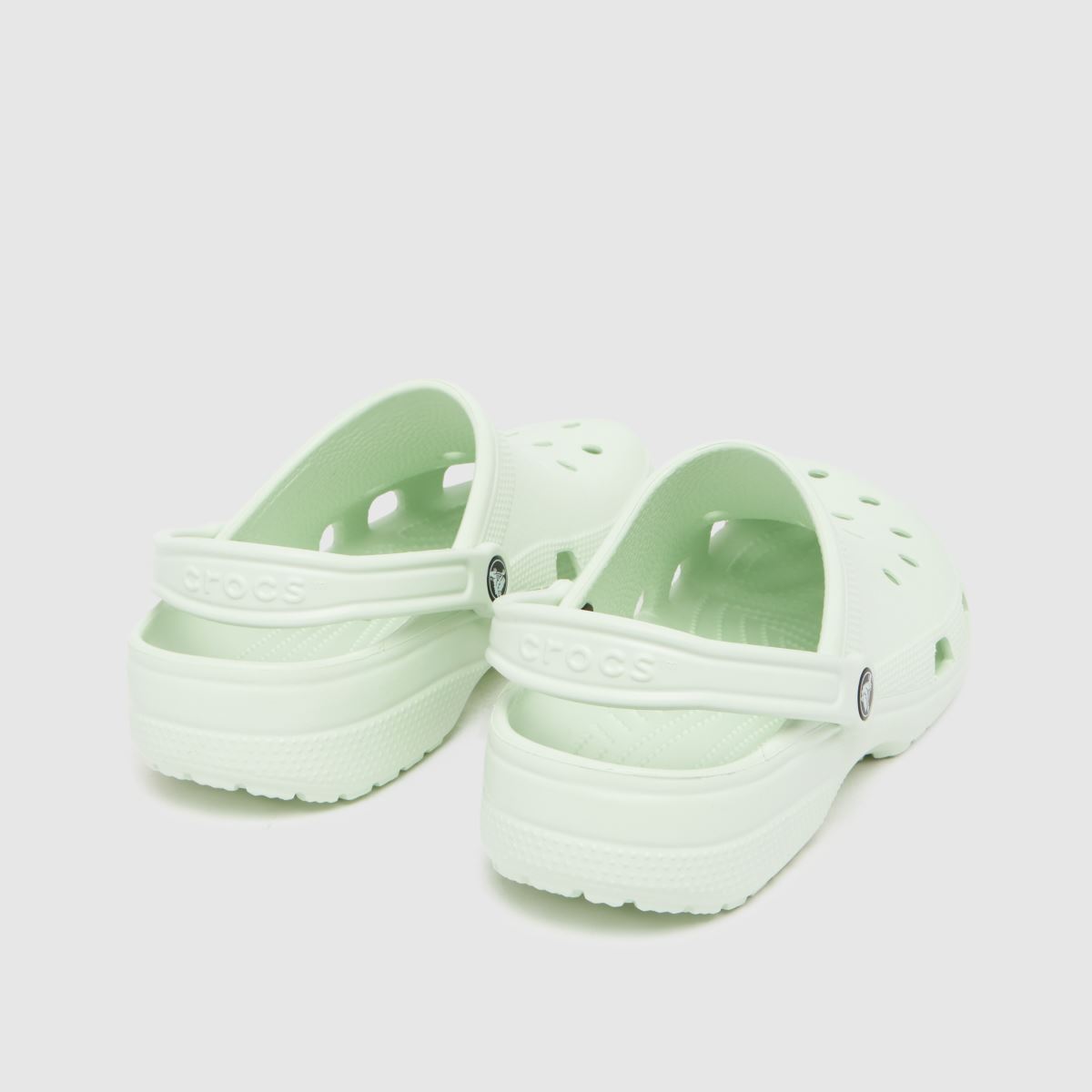 Crocs  Classic Clog in Light Green Crocs  Classic Clog in Light Green