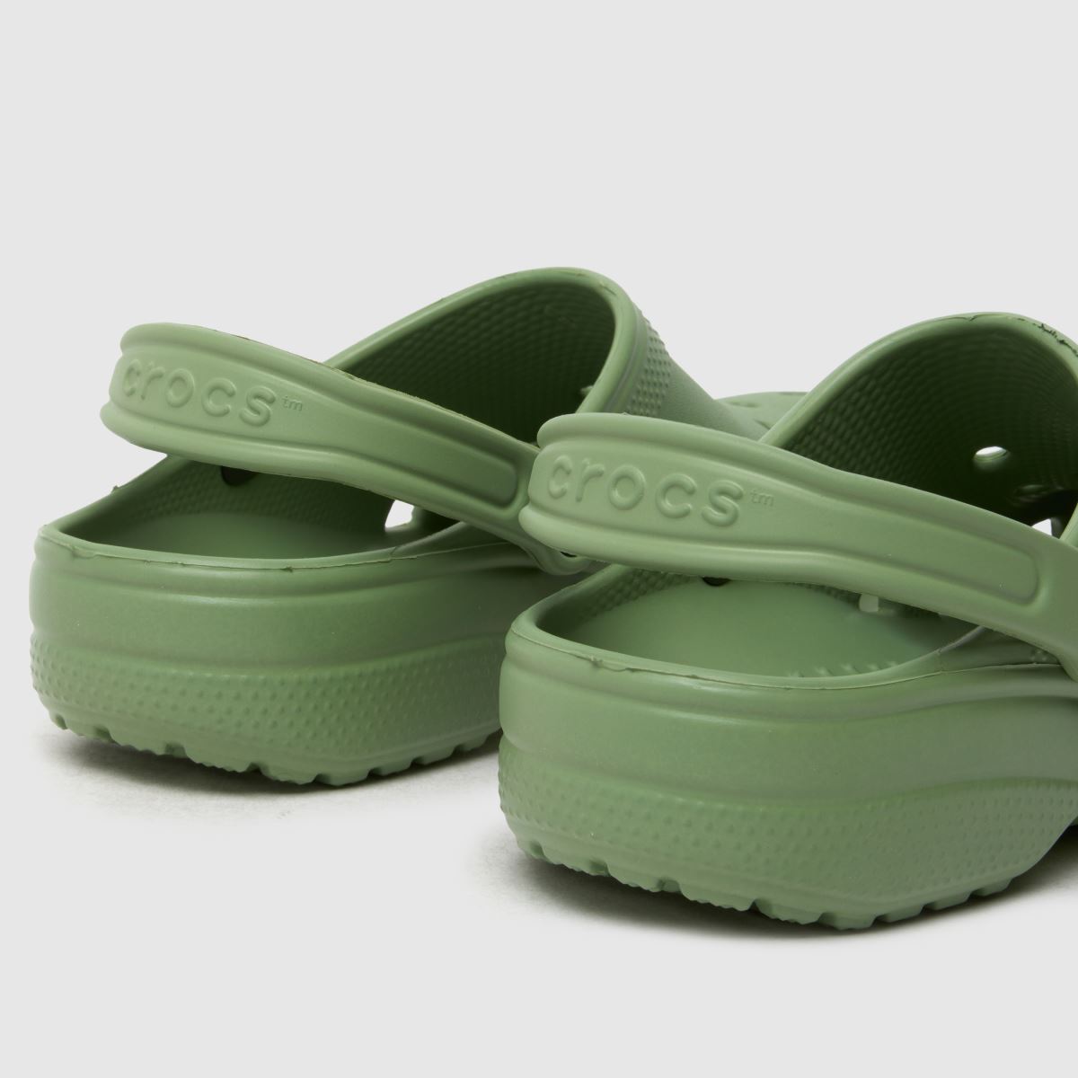 Crocs  Classic Clog in Green Crocs  Classic Clog in Green