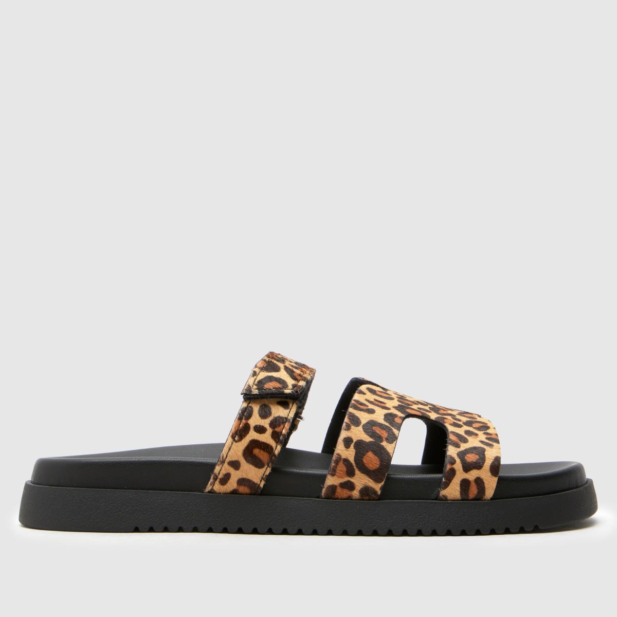 Steve Madden  Missile in Print Steve Madden  Missile in Print