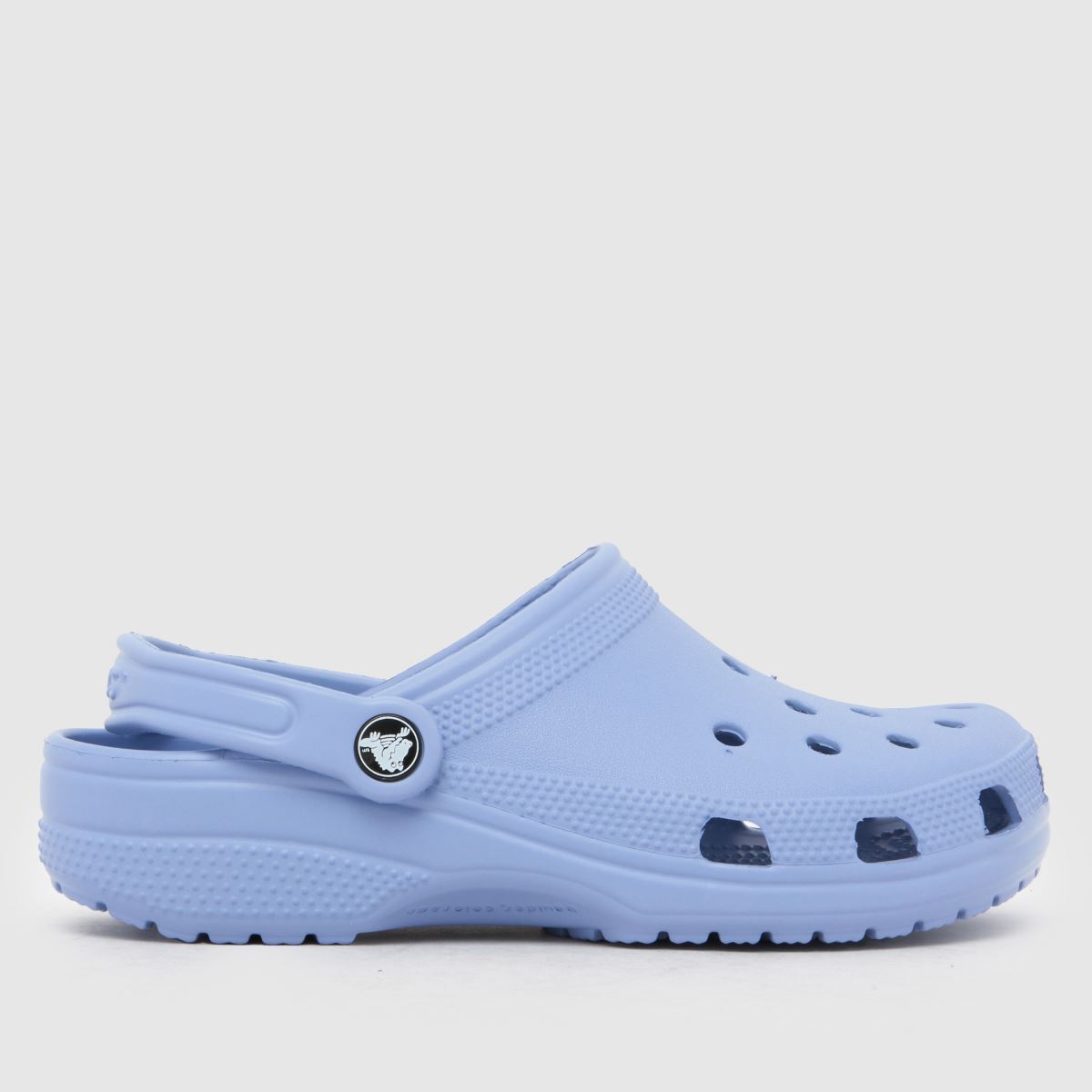 Crocs  Classic Clog in Blue Crocs  Classic Clog in Blue