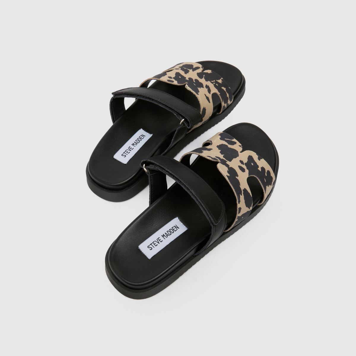 Steve Madden  Missile in Print Steve Madden  Missile in Print