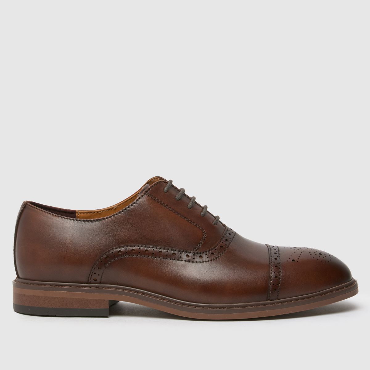 schuh  Raven Brogue in Brown schuh  Raven Brogue in Brown