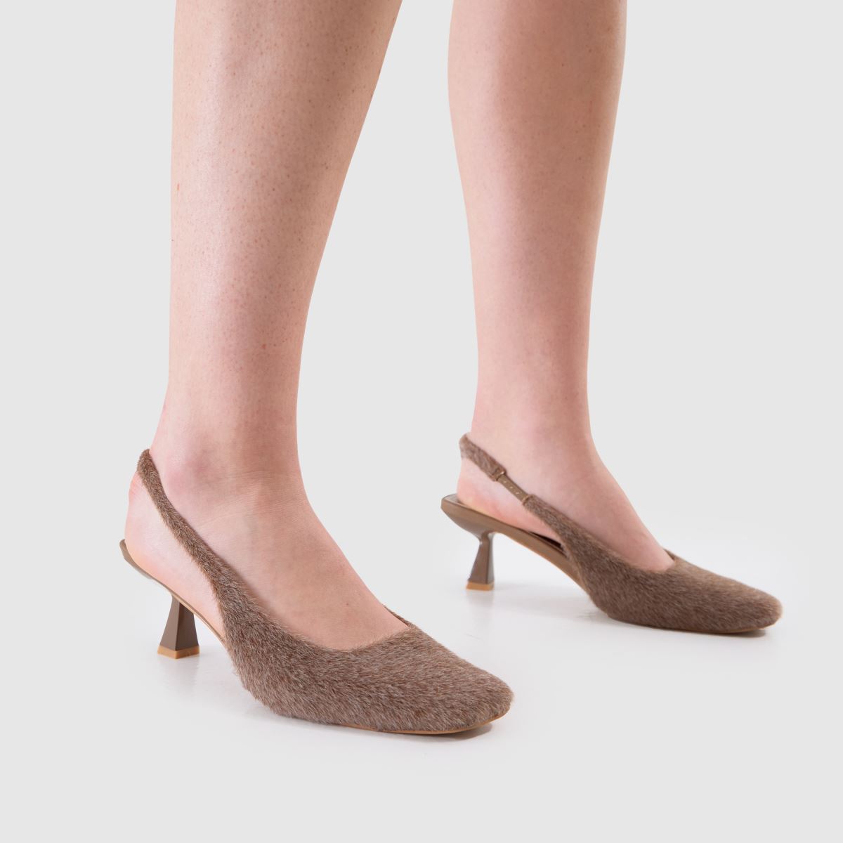 SIMMI  Dorothy Kitten in Brown SIMMI  Dorothy Kitten in Brown