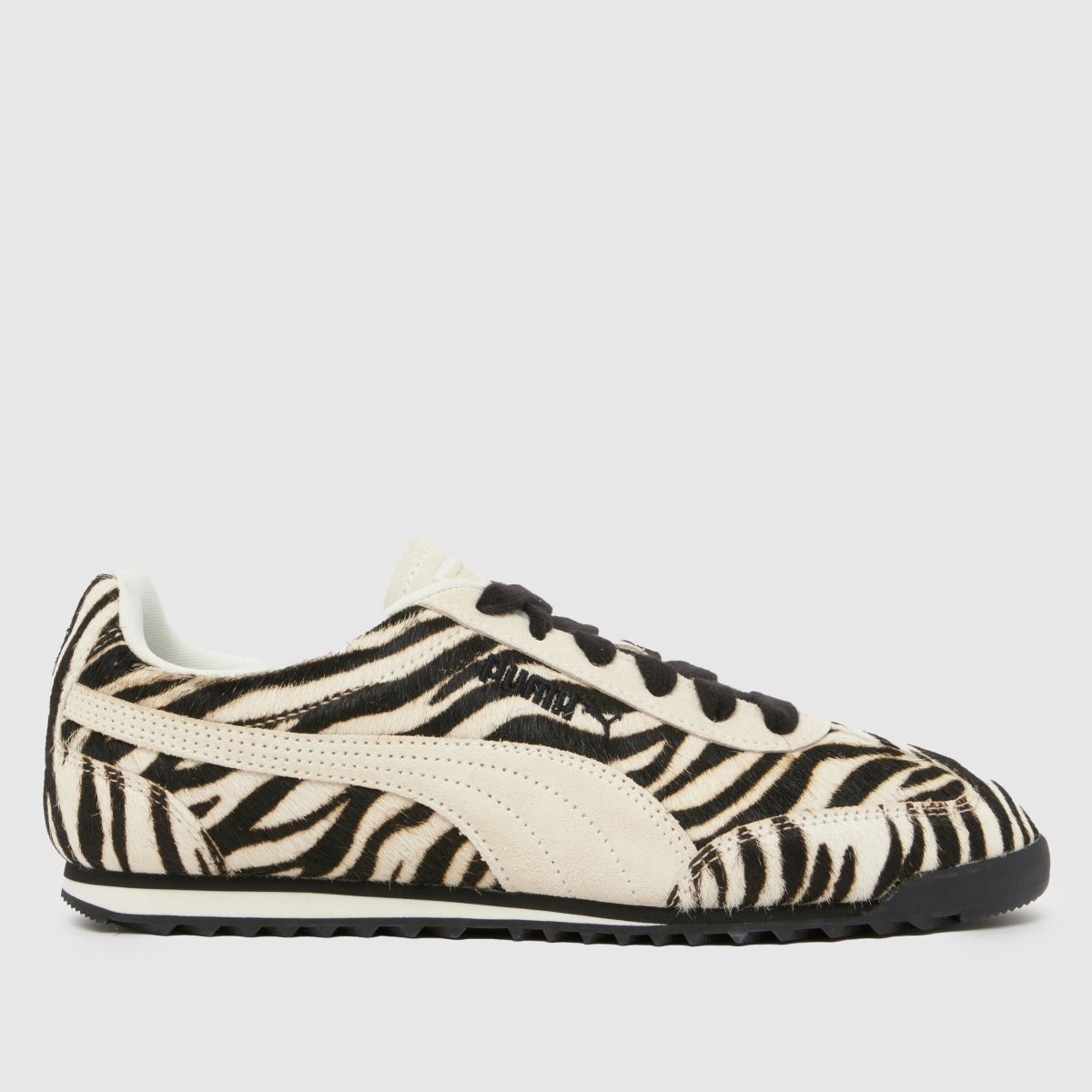 PUMA  Arizona in Black & White PUMA  Arizona in Black & White