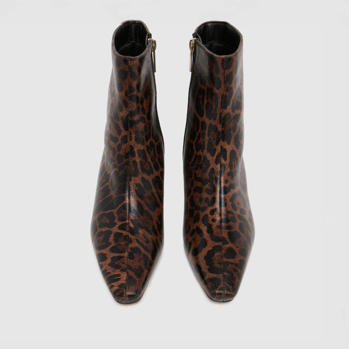 schuh  Bexley Kitten Heel in Brown Multi schuh  Bexley Kitten Heel in Brown Multi