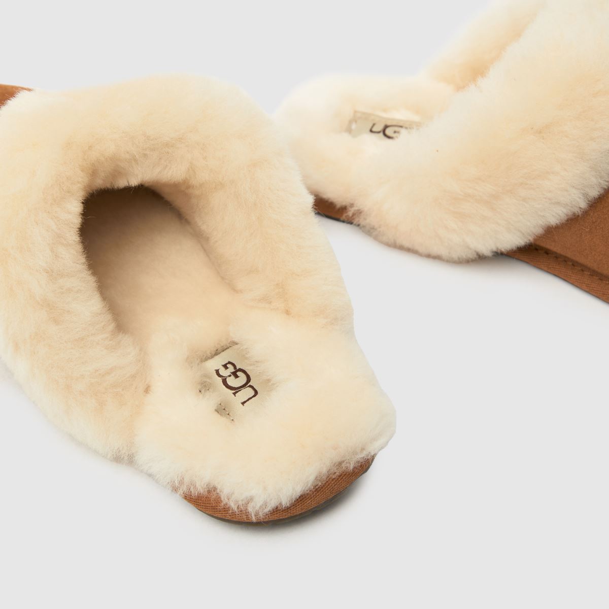UGG  Scuffette II in Chestnut UGG  Scuffette II in Chestnut