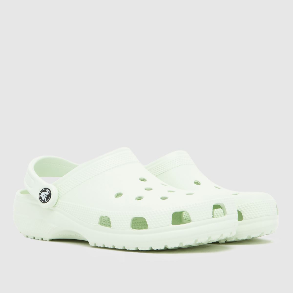 Crocs  Classic Clog in Light Green Crocs  Classic Clog in Light Green