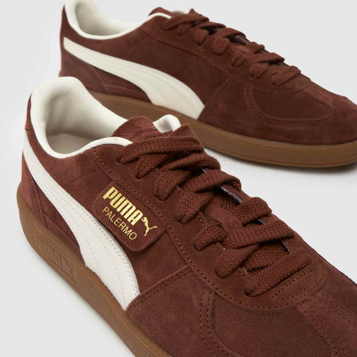 PUMA  Palermo in Brown & White PUMA  Palermo in Brown & White