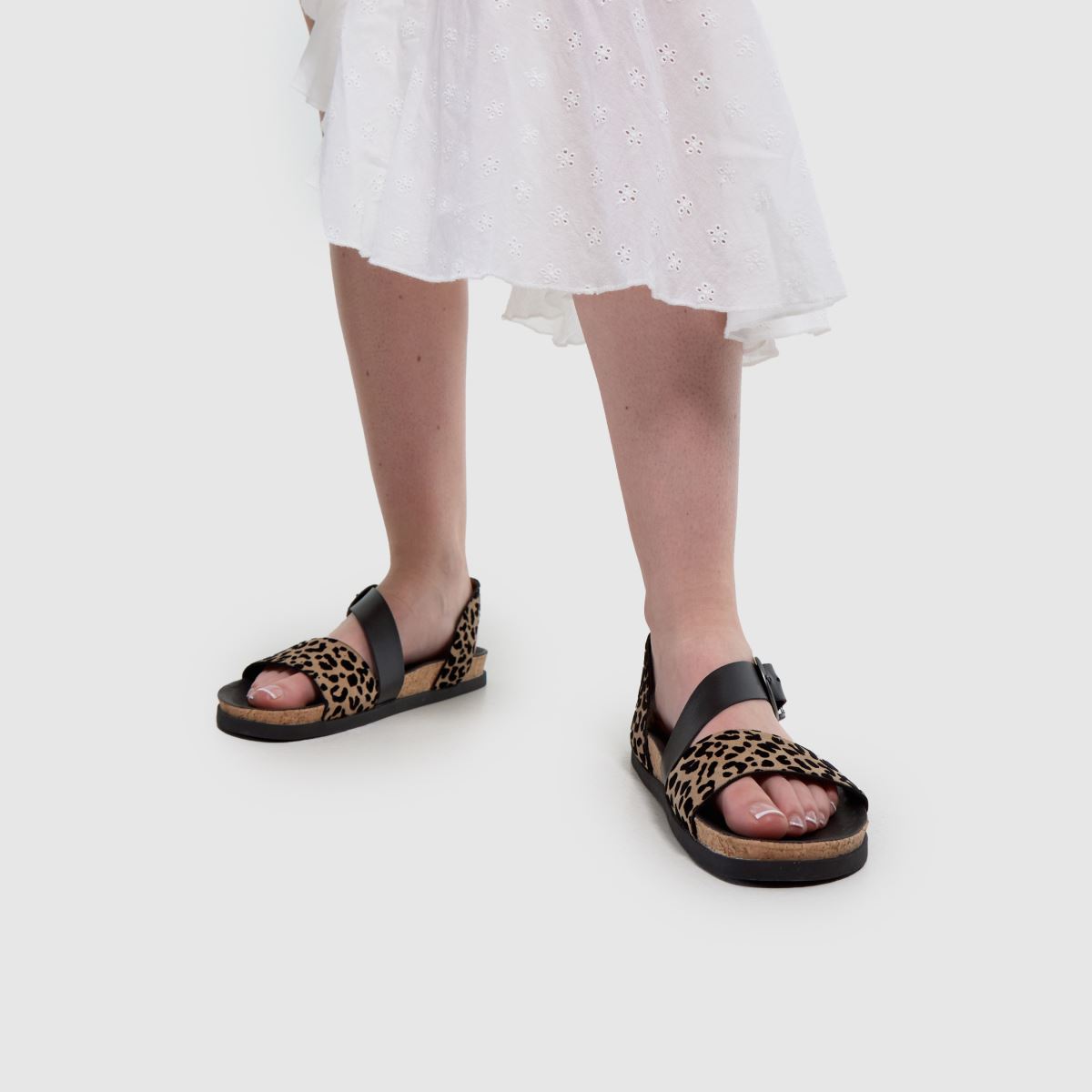 Blowfish Malibu  Lance in Print Blowfish Malibu  Lance in Print