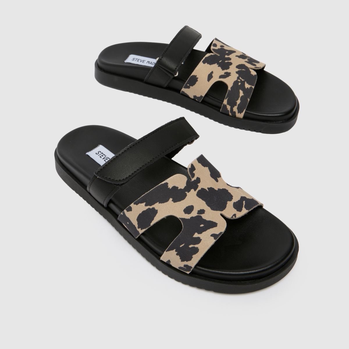 Steve Madden  Missile in Print Steve Madden  Missile in Print