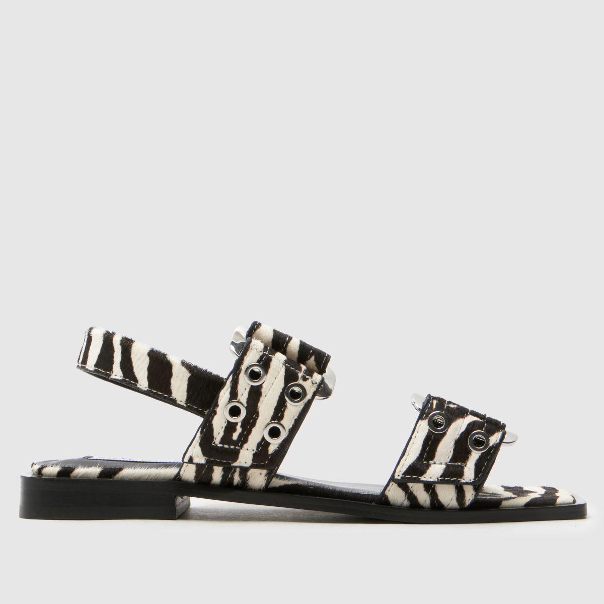 Steve Madden  Grand Saria-Le Zebra in Print Steve Madden  Grand Saria-Le Zebra in Print