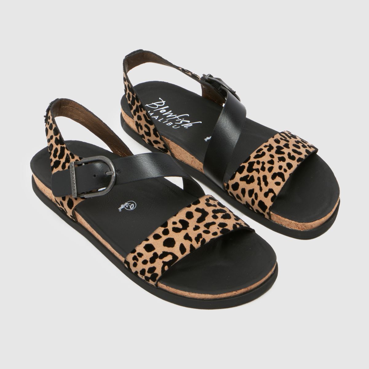 Blowfish Malibu  Lance in Print Blowfish Malibu  Lance in Print