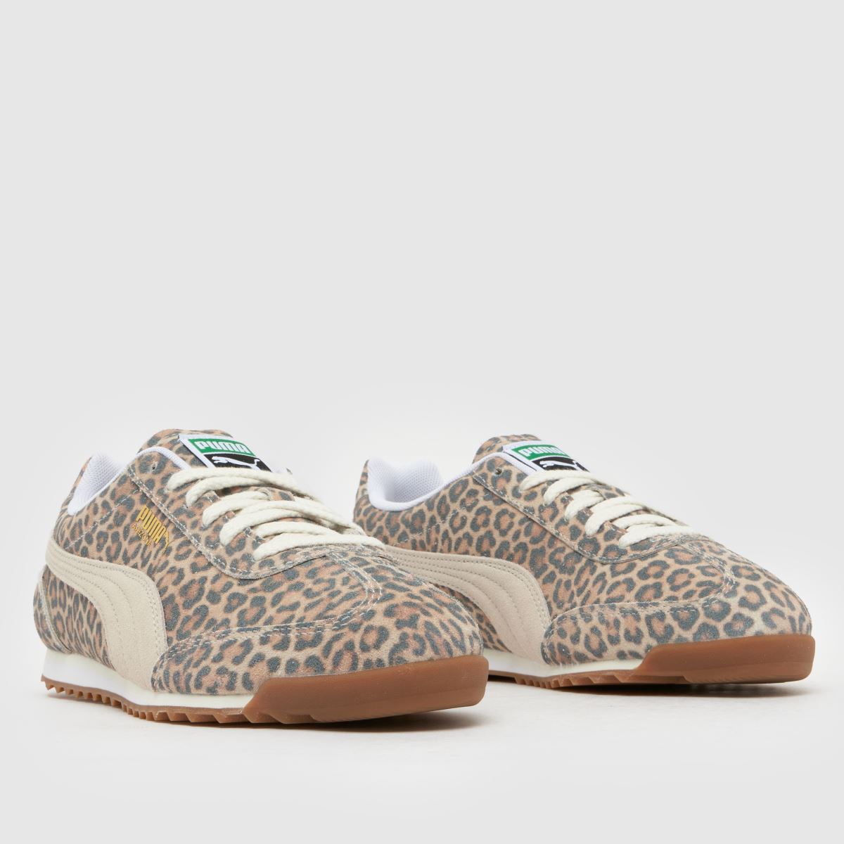 PUMA  Arizona in Print PUMA  Arizona in Print