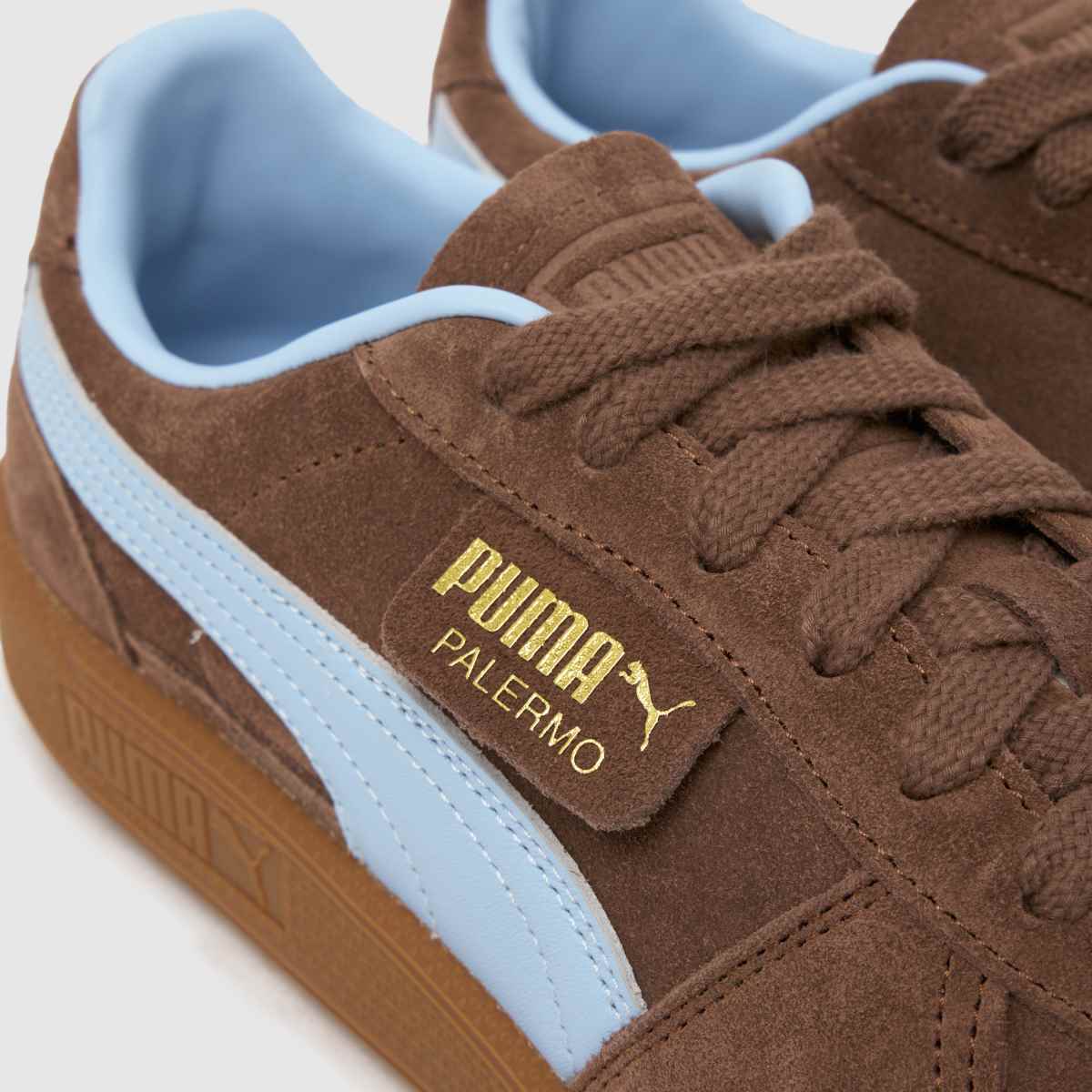 PUMA  Palermo in Brown Multi PUMA  Palermo in Brown Multi