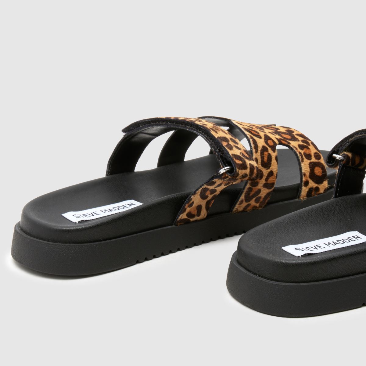 Steve Madden  Missile in Print Steve Madden  Missile in Print