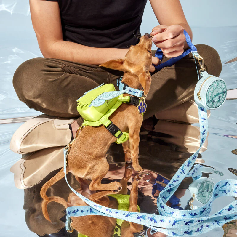 PETER PAN YOU CAN FLY DOG LEAD - DISNEY