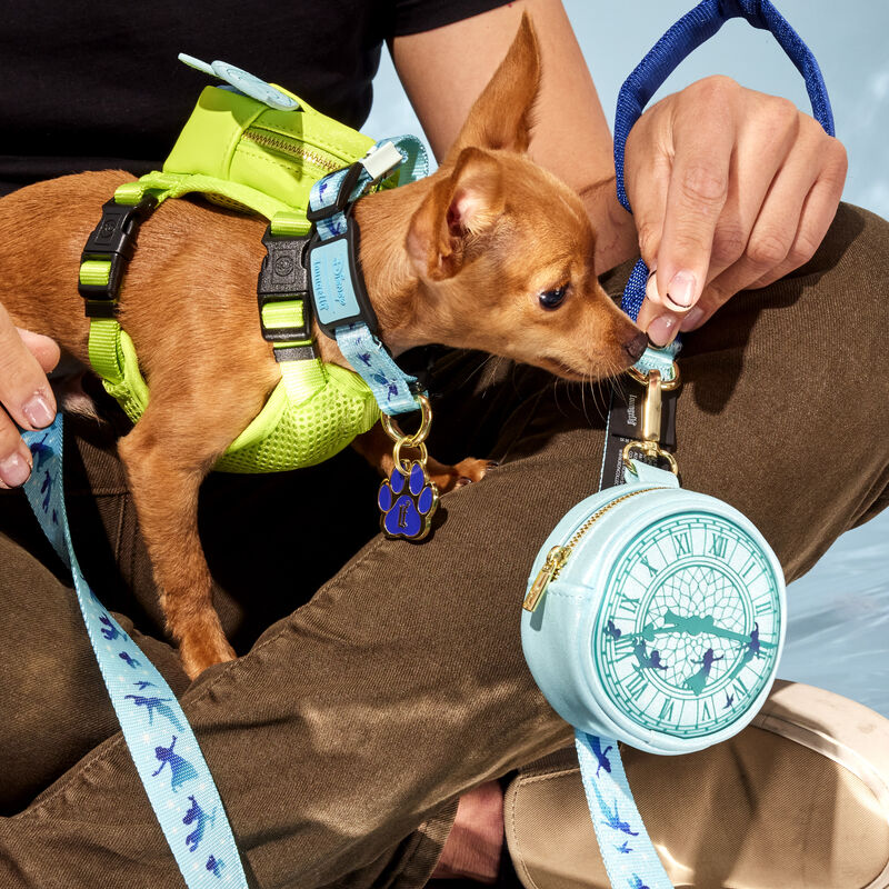 YOU CAN FLY TREAT BAG HOLDER - PETER PAN
