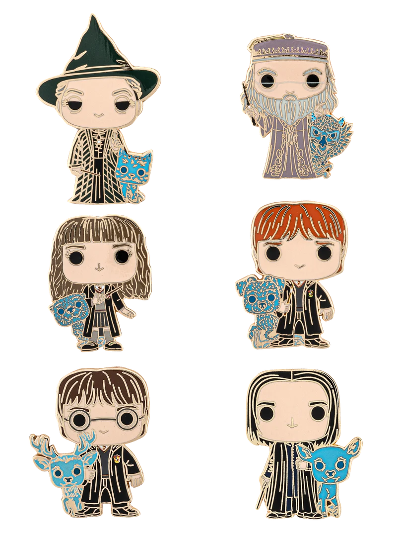 HARRY POTTER BLIND BOX PIN